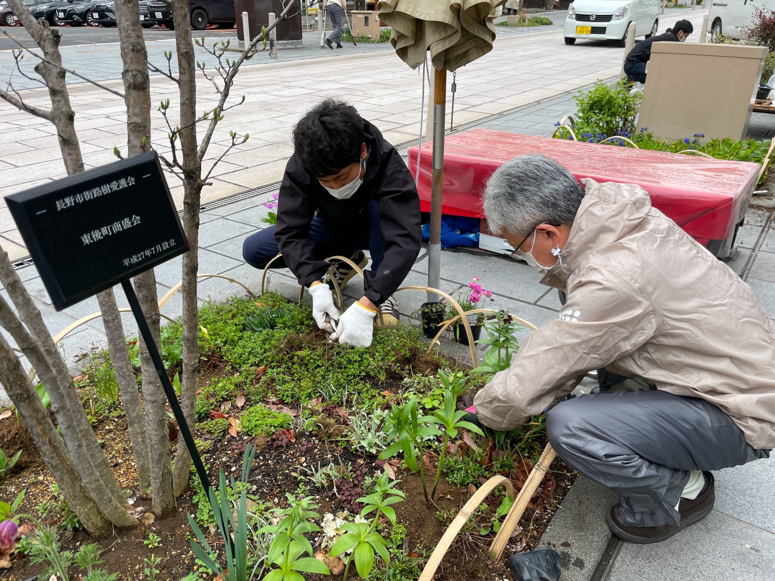 植栽帯とは – 植樹帯 基準 – RMEC
